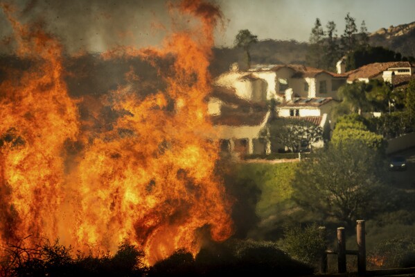 Pacific Palisades Wildfire: A Real Estate Broker’s Perspective